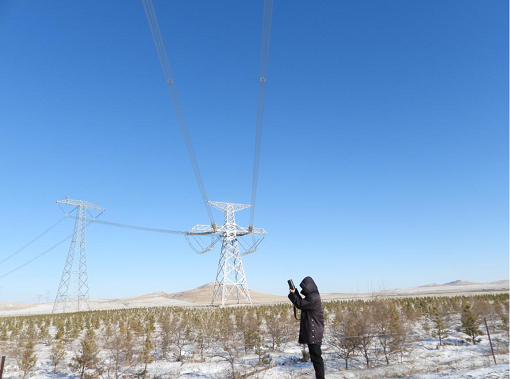 东北出现暴雪低温 全力保障百姓用电