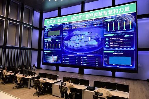 加强统筹协调推动能源革命<br>把党中央决策部署落到实处