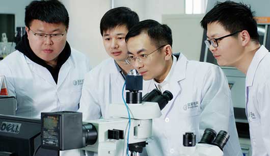 认真学习宣传贯彻党的二十大精神｜“青马工程”青春力量
