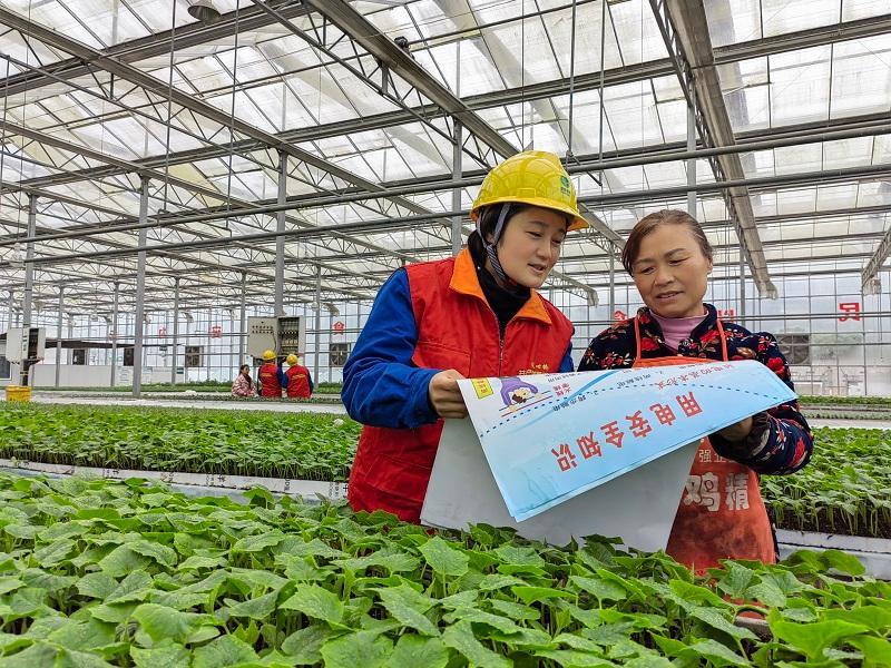 新时代新征程新伟业｜为民服务架起连心桥