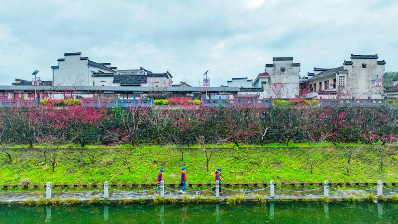 新时代新征程新伟业｜村网共建 电靓和美乡村