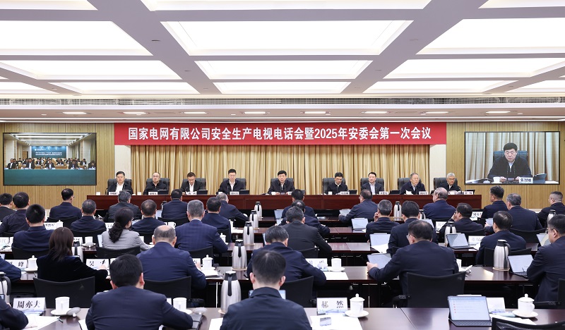 公司召开安全生产电视电话会暨2025年安委会第一次会议