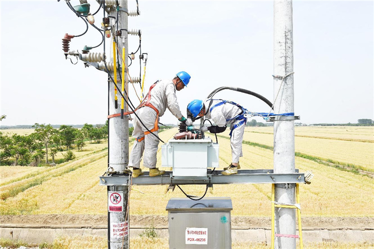 節(jié)日我在崗｜電送田間護航夏收