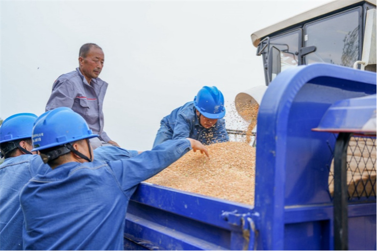 節(jié)日我在崗｜電送田間護航夏收