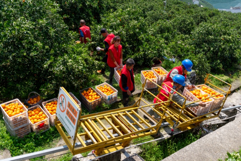 公司连续8年获中央单位定点帮扶工作成效考核评价最高等次