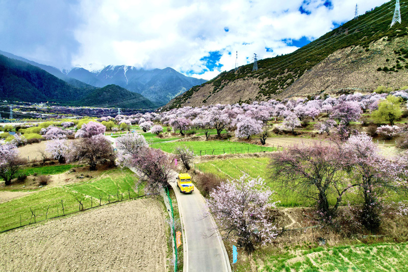 光耀西藏幸福路
