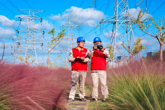 国家电网圆满完成第八届中国国际进口博览会保电任务