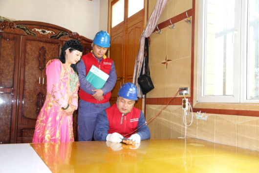 “十四五”国家电网发展成效①：转型发展向新向绿