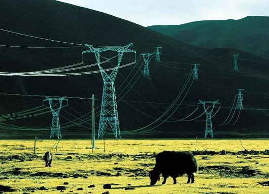 沿着总书记的足迹|描绘雪域高原电网发展绿色画卷