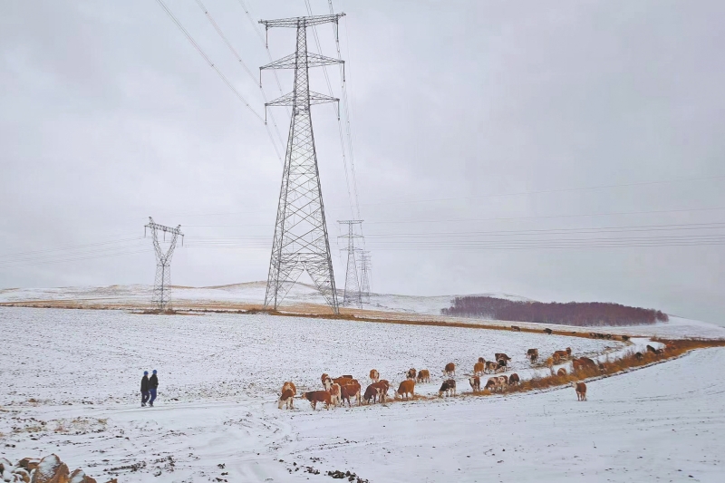 国家电网：用心守护温暖过冬